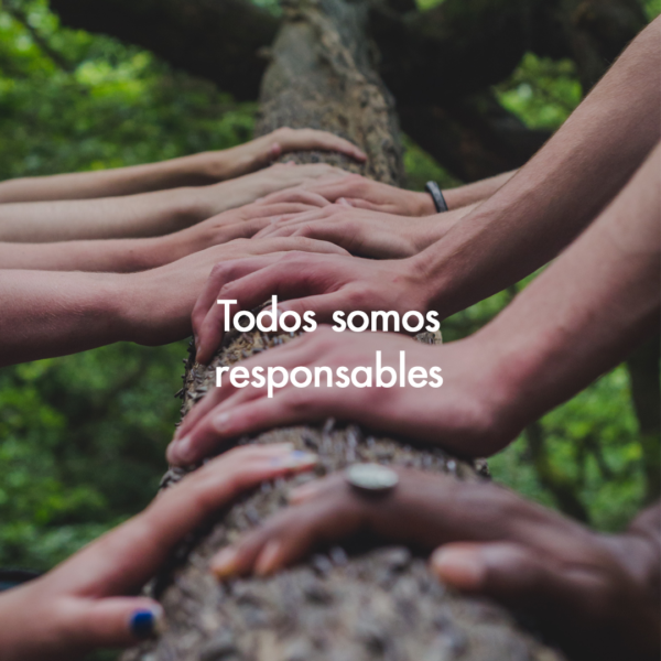 NotaResponsabilidad