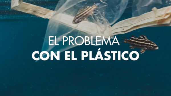 ElProblemadelPlastico