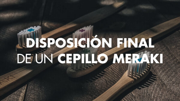 DisposiciónFinal_CepillodeBambú