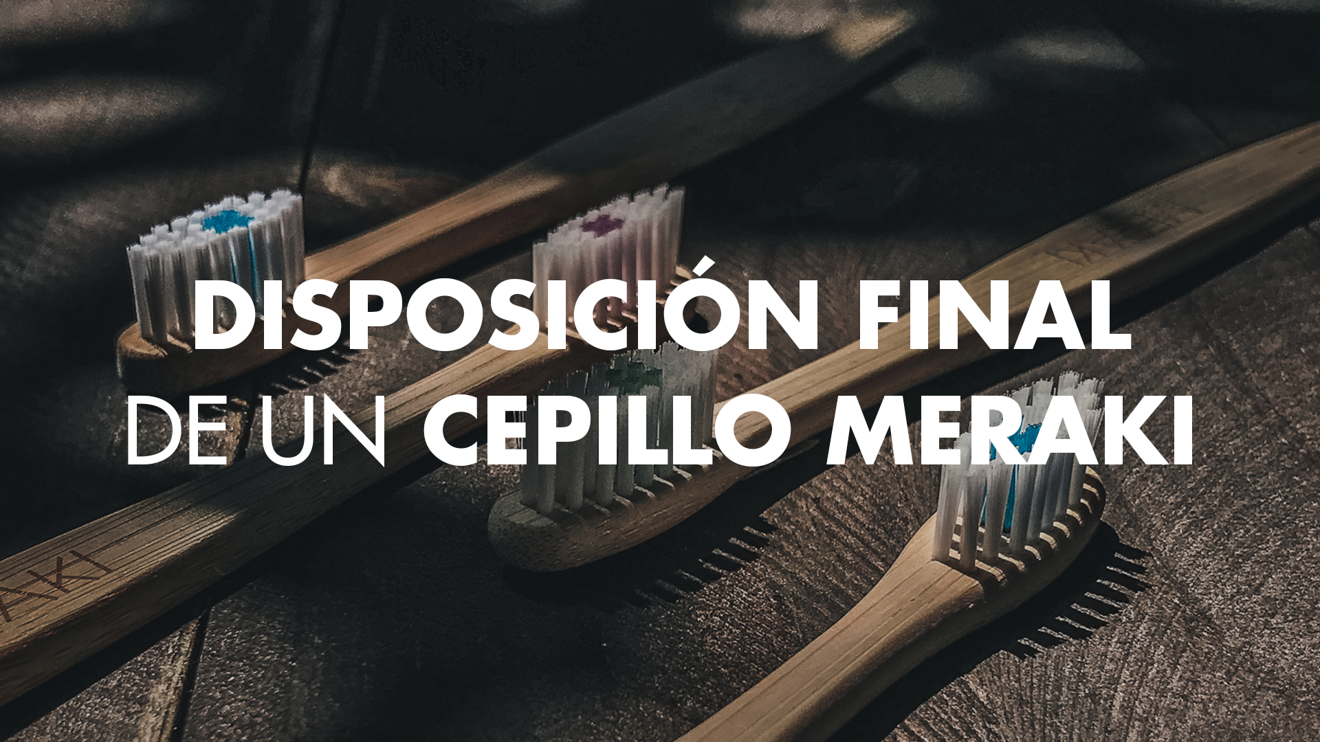 DisposiciónFinal_CepillodeBambú