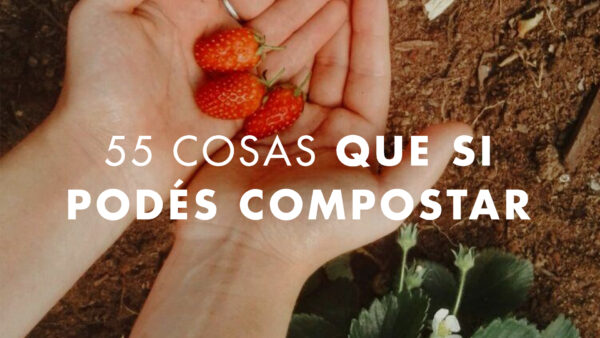 ¿Qué compostar? MERAKI