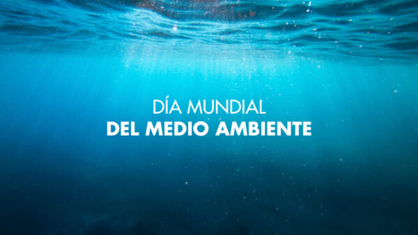 dia del medio ambiente